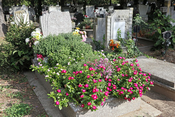 Tombstone in the public cemetery