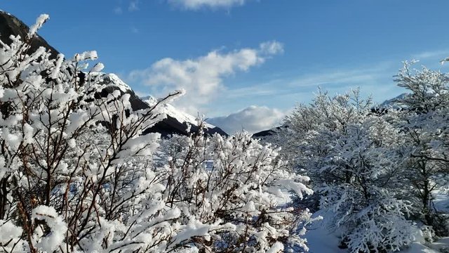 Winter in Patagonia, Tierra del Fuego, Argentina