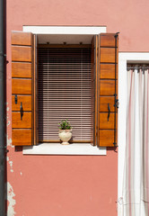 Detail of a window with wooden shutters and pot plant containing succulent in Burano near Venice, Italy