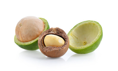macadamia nuts with leaf isolated on white