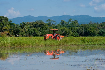 Fototapeta premium Tractor