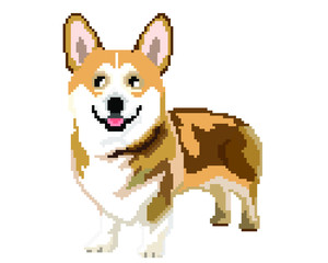 vector pixel art Pembroke Welsh Corgi dog isolated on white background.