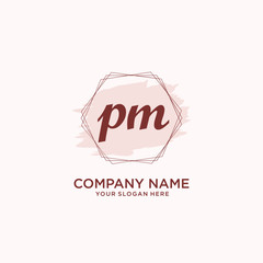 Initial PM handwriting Logo, and Brush and hexagon lines template