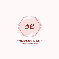 Initial SE handwriting Logo, and Brush and hexagon lines template