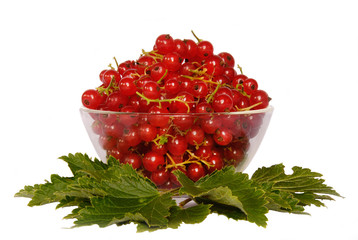 red currant with leaves isolated on white background