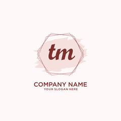 Initial TM handwriting Logo, and Brush and hexagon lines template