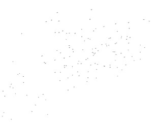 Flock of birds isolated on white background