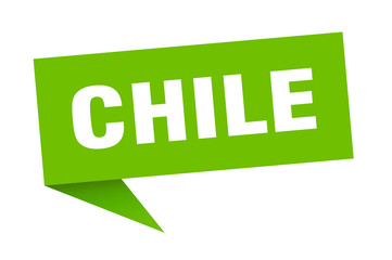 Chile sticker. Green Chile signpost pointer sign