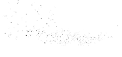 Flock of birds isolated on white background