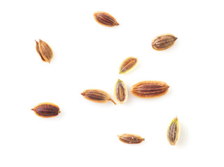 Dill seeds isolated on a white background