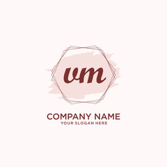 Initial VM handwriting Logo, and Brush and hexagon lines template