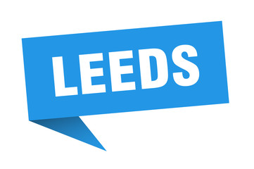 Leeds sticker. Blue Leeds signpost pointer sign