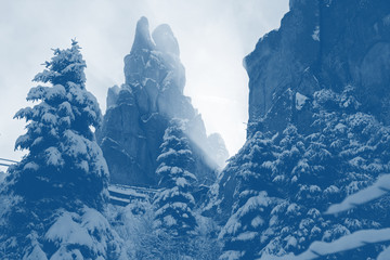 Winter wonderland landscape, horizontal winter background, trendy toned photo