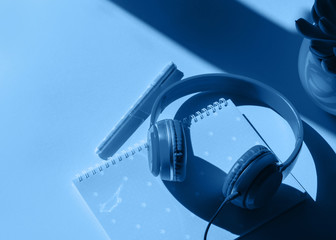 Classical blue color headphones, notebook and succulent plant. Hard light with shadow. Angle view. Trendy colour of 2020