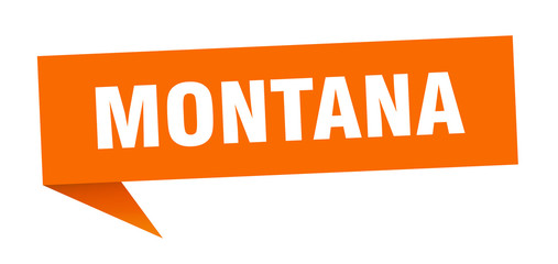 Montana sticker. Orange Montana signpost pointer sign