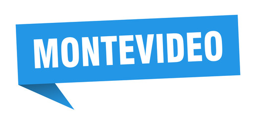 Montevideo sticker. Blue Montevideo signpost pointer sign