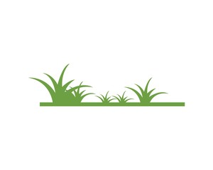 grass vector illustration template