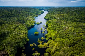 Papier Peint photo autocollant Brésil Forêt amazonienne dans le parc national d& 39 Anavilhanas, Amazonas - Brésil