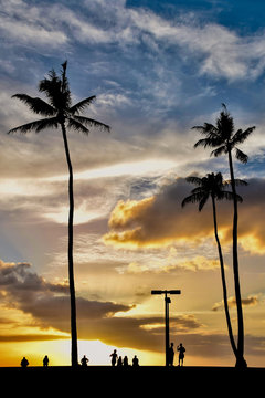 Golden hour sunset in Hawaii with palm tree silhouettes