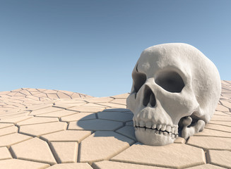 Wüste Totenschädel