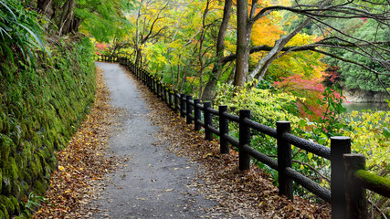 Beautiful walkway on the mountain with maple tree in Arashiyama, Japan.Arashiyama district in the western outskirts of Kyoto