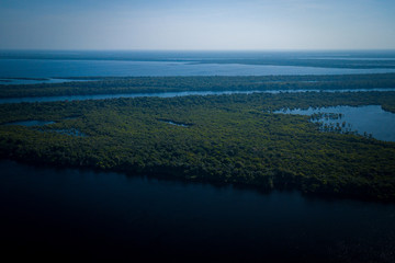 Anavilhanas National Park is home to the second largest river archipelogue in the world, on the Rio Negro. Amazonas, Brazil.