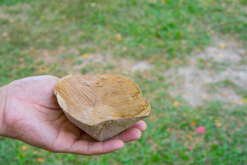 A North of Thailand rice plate meal  served on a banana leaf, save the earth concept.