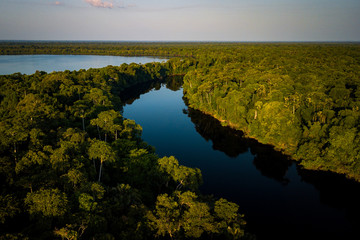Anavilhanas National Park is home to the second largest river archipelogue in the world, on the Rio Negro. Amazonas, Brazil.