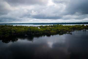 The mouth of the Jaú River is within the Jaú National Park and houses great biodiversity of the Amazon biome. amazonas, Brazil