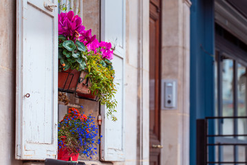 Fototapeta na wymiar Flowers on windows with shutters of old buildings on Montmartre, Paris. Autumn in France, old town.