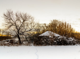 A house and trees covered with snow in a Russian village.