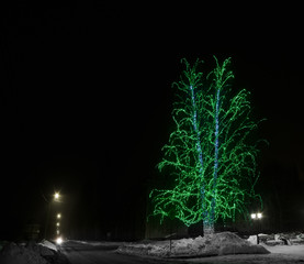 Glowing tree and a lantern in the Park during the winter.