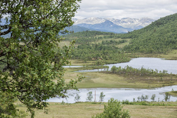 Norwegen - Hardangervidda Nasjonalpark / Mosvatn Fjellpark