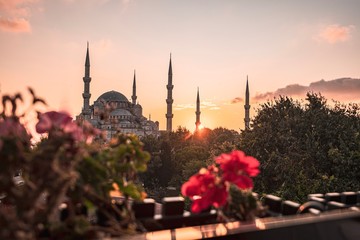 Fototapeta na wymiar blue mosque in istanbul