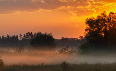 Fototapeta na wymiar Sunrise through the clouds. Fog creeps across the meadow.