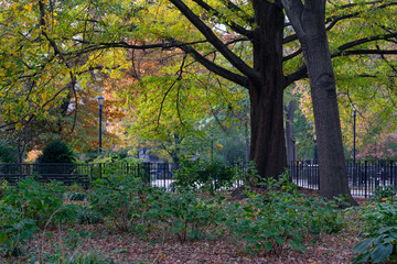 Tompkins Square Park in the East Village of New York City during Autumn