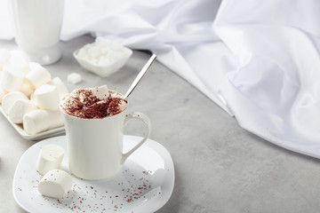 Obraz na płótnie Canvas Hot chocolate with marshmallows sprinkled with chocolate crumbs.