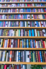 A row of English books on a library shelf in the sun