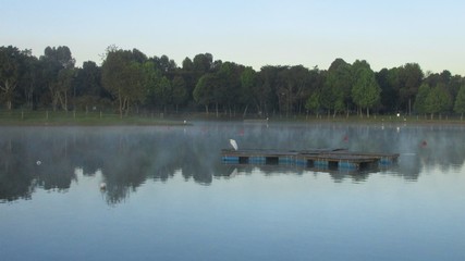 Niebla sobre el lago con tres garzas