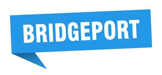 Bridgeport sticker. Blue Bridgeport signpost pointer sign