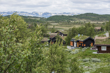 Fototapeta na wymiar Norwegen - Hardangervidda Nasjonalpark / Mosvatn Fjellpark