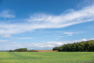 View over the countryside near Larret in the Franche-Comte Region of France