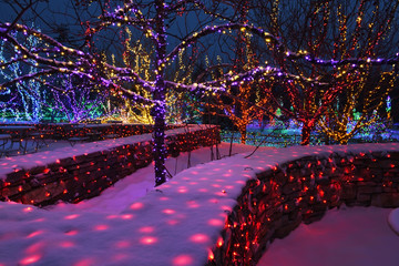 Trees decorated with luminous garlands in a city park. Winter night view of a festive decorated garden for the holidays of Christmas and New Year.