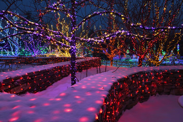 Trees decorated with luminous garlands in a city park. Winter night view of a festive decorated...