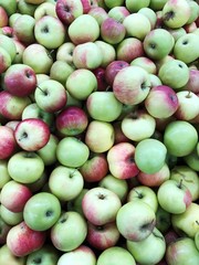 Delicious fresh green apples on the market