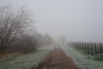Nebeliger und winterlicher Feldweg