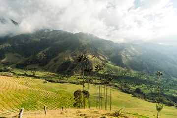 Panoramic Views of The Cocora Valley in Salento, Quind&iacute;o, Colombia.