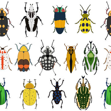 Seamless vector pattern with insects. Collection of bugs isolated on white background. Flat hand drawn beetles illustration. 