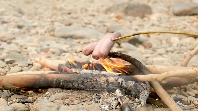 Fry delicious sausages on a bonfire in the forest. fun family vacation. Picnic and camping. Cooking dinner in a bright flame by the fire. atherings around a burning fire. 4K cook on a wooden stick