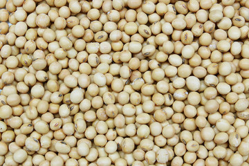 Small round soybeans as a background